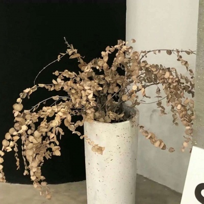 韶关福瑞交流群